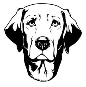 Lab