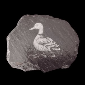 Duck Engraved Slate