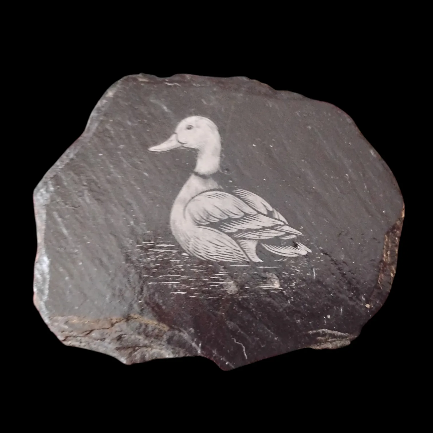Duck Engraved Slate