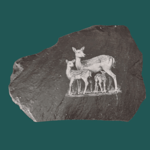 Deer Engraved Slate