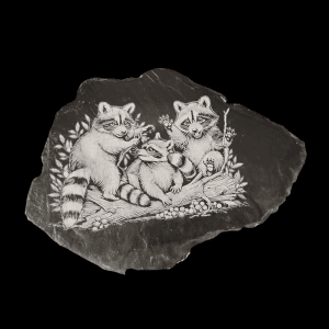 Raccoon Engraved Slate