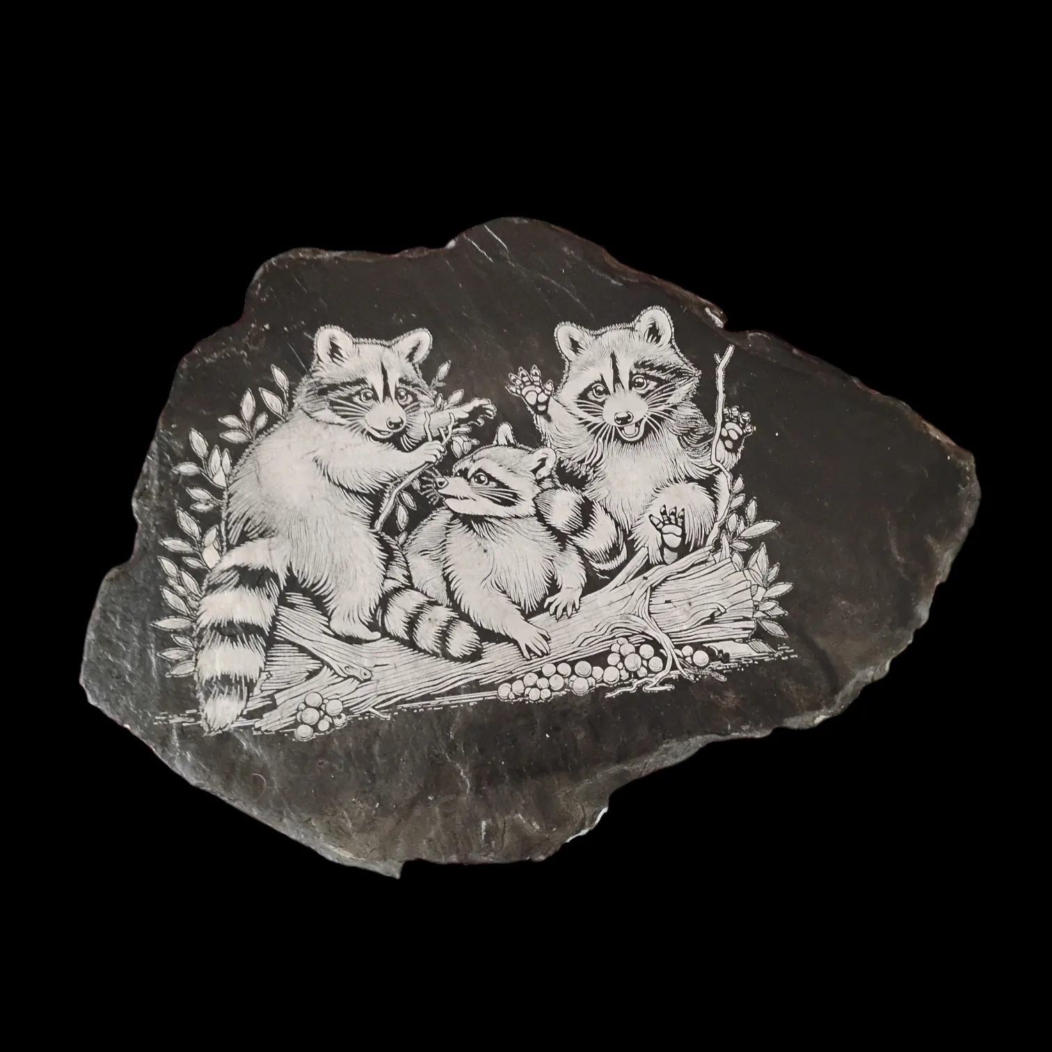 Raccoon Engraved Slate