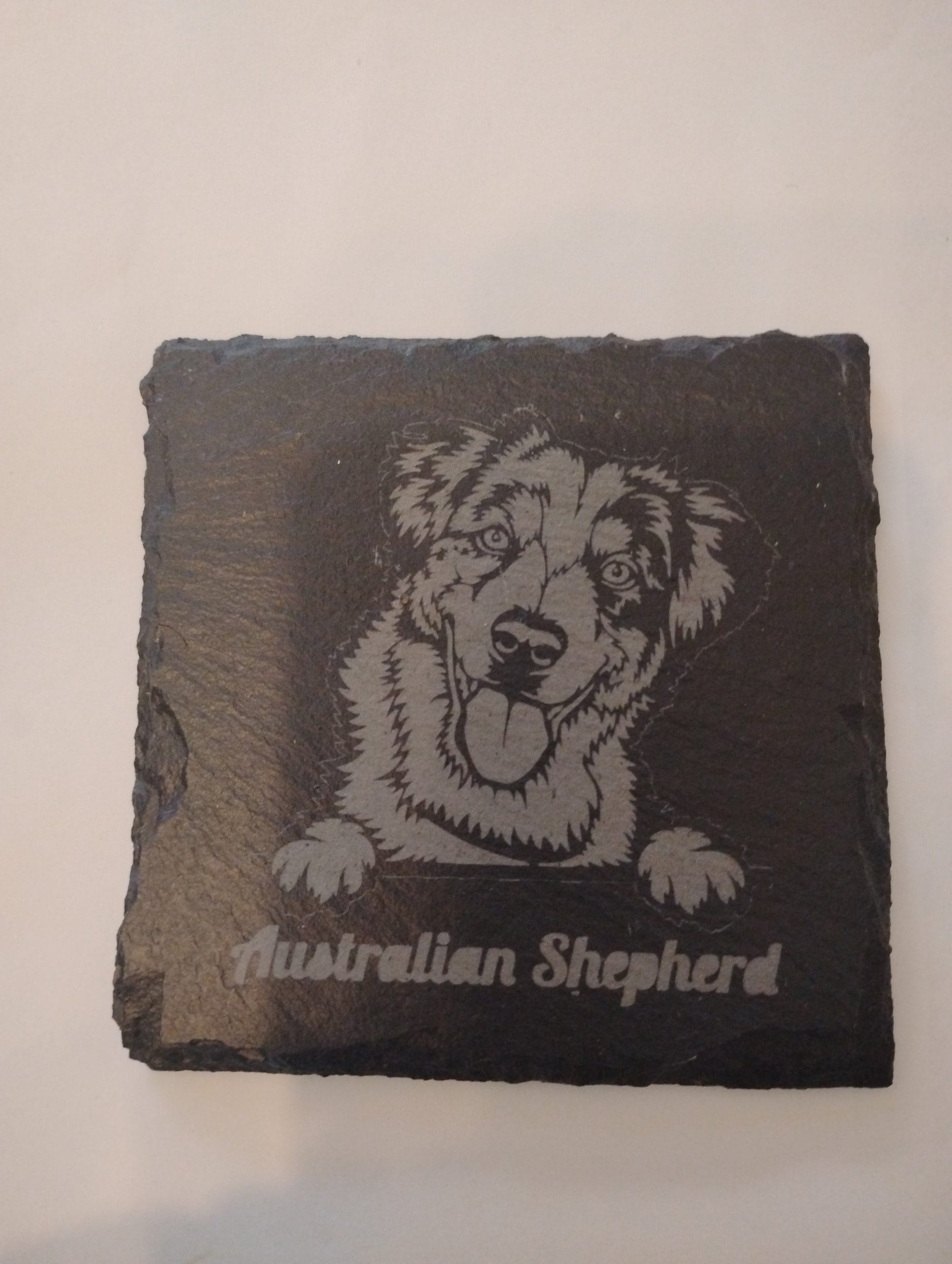 Australian Shepherd Coaster