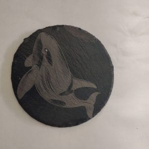 killer whale slate coaster
