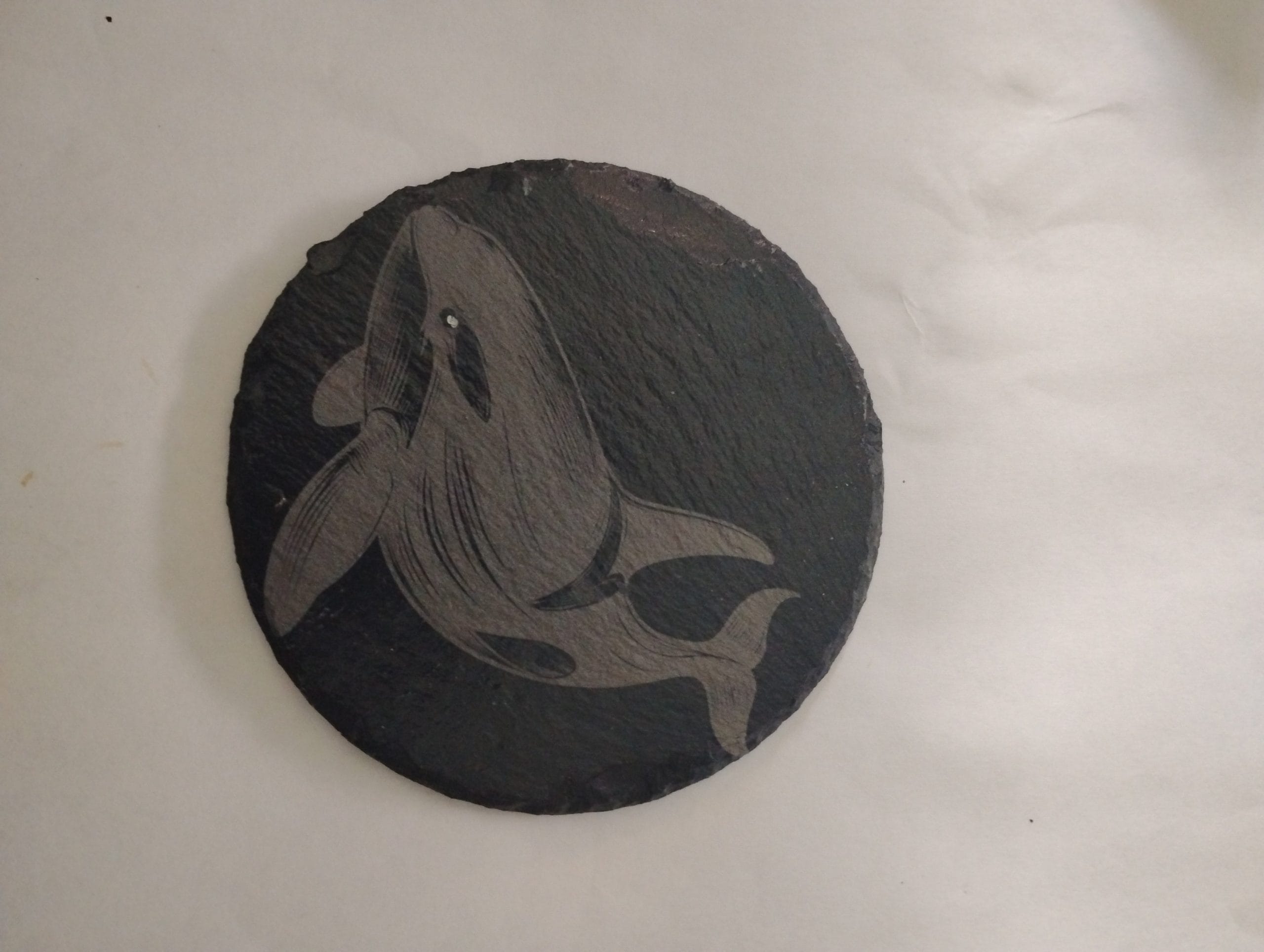 killer whale slate coaster